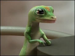 Gecko Eight