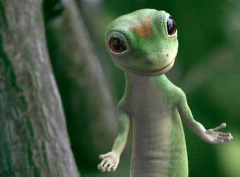 Gecko Five