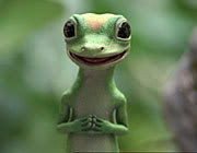 Gecko One