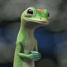 Gecko Six