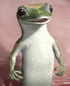 Gecko Ten