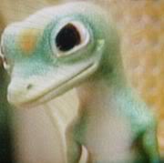 Gecko Two